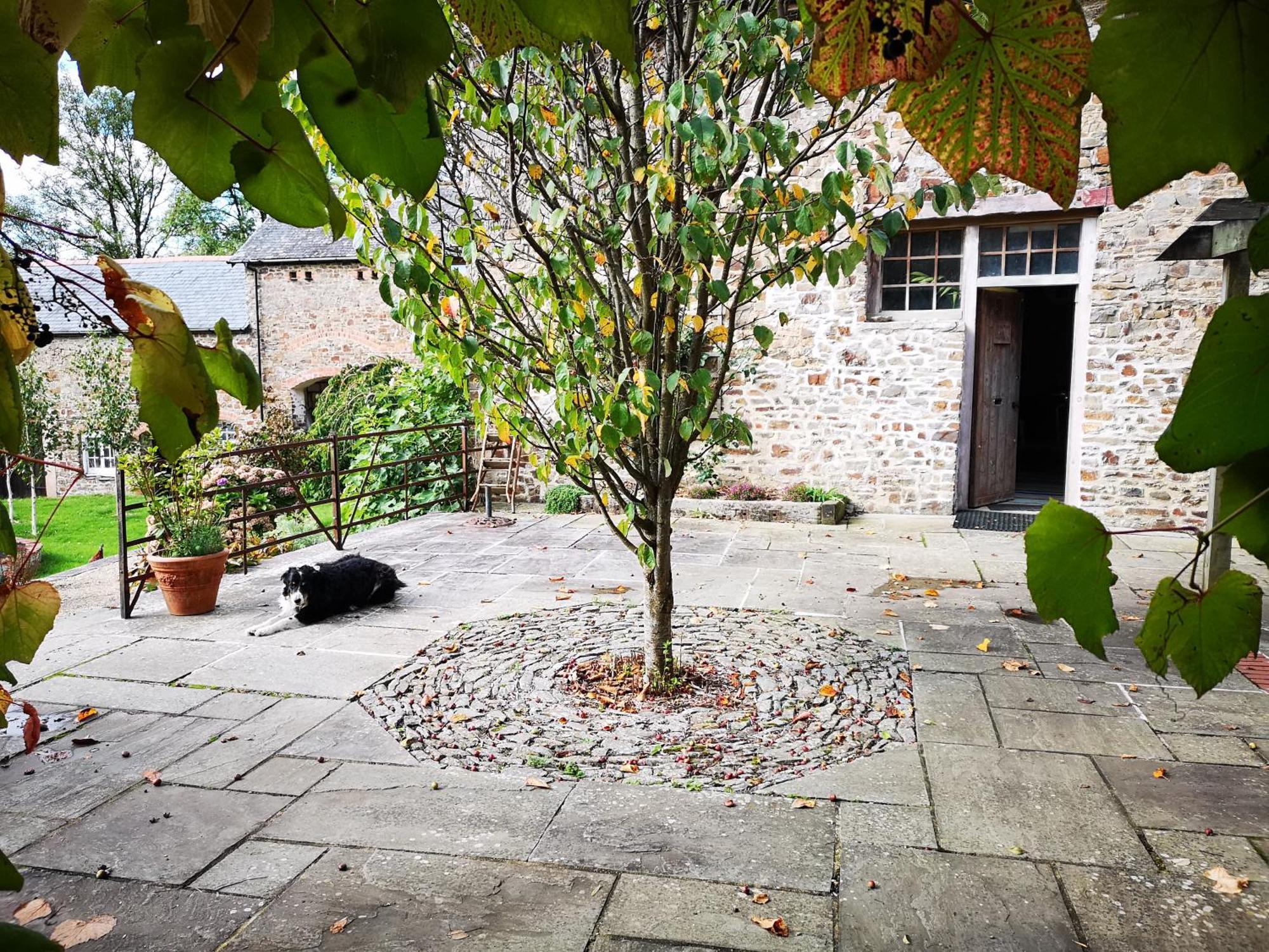 Whitechapel Cottages South Molton Exterior photo